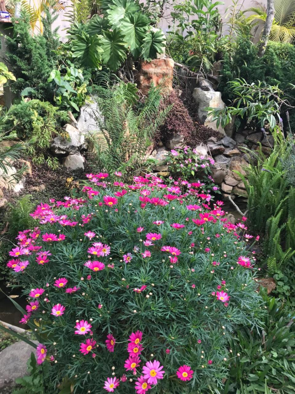 De Daisy Villa Homestay Da Lat Dış mekan fotoğraf