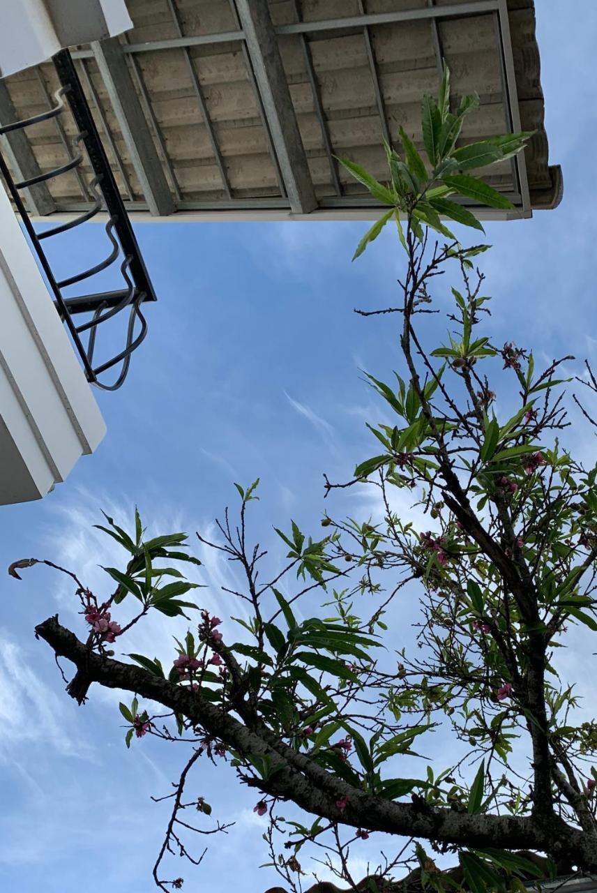 De Daisy Villa Homestay Da Lat Dış mekan fotoğraf