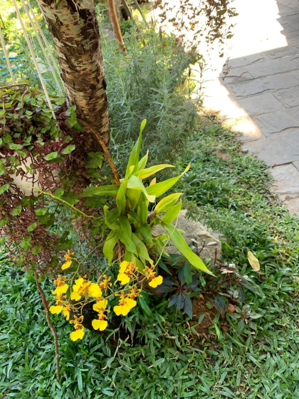 De Daisy Villa Homestay Da Lat Dış mekan fotoğraf