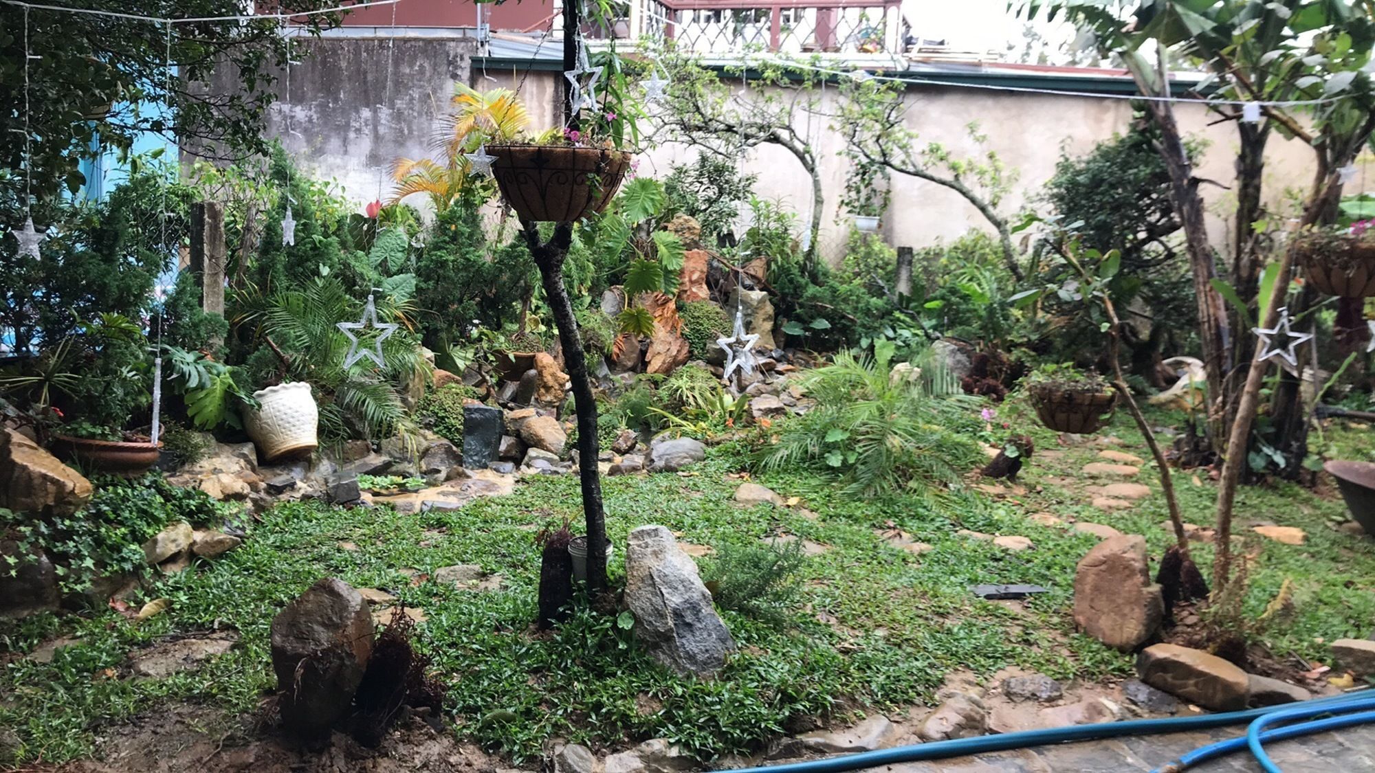De Daisy Villa Homestay Da Lat Dış mekan fotoğraf